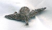 SOE, Violette Szabo, parachute badge, SOE Schools, Ringway, Tania Szabo, Young Brave and Beautiful